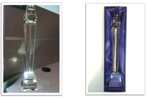 公司获2016腾讯优秀合作伙伴奖